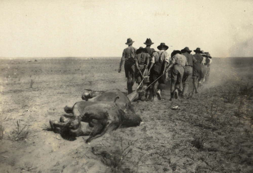 Photo from page 07 of album WWI Photograph Album- Egypt