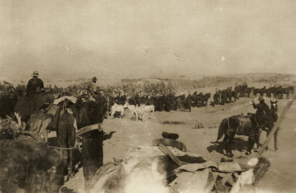 Photo from page 12 of album WWI Photograph Album- Egypt