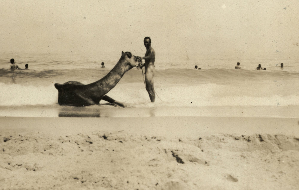 Photo from page 12 of album WWI Photograph Album- Egypt