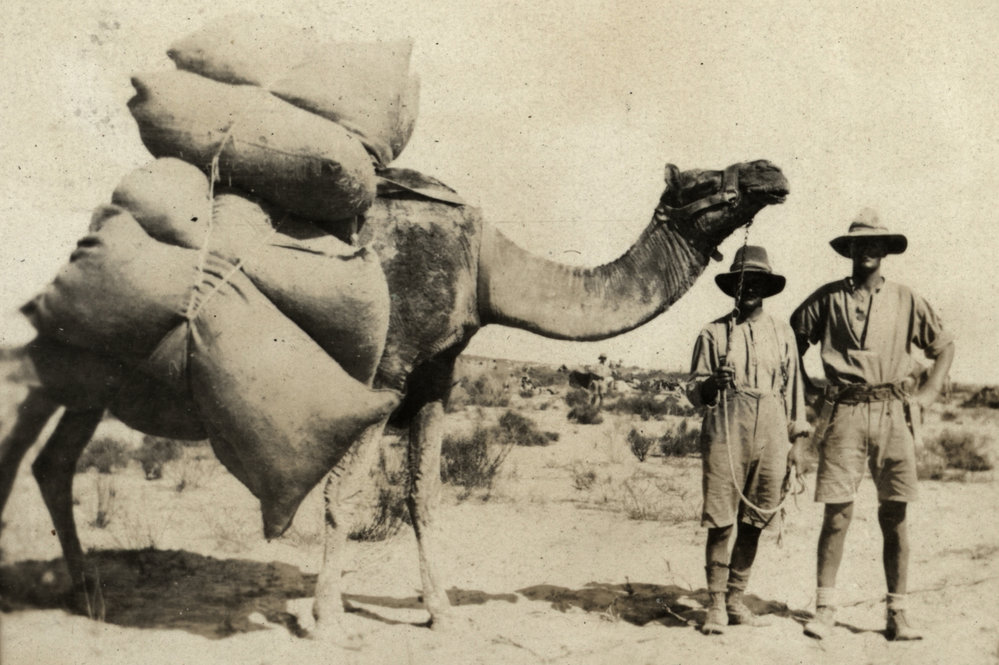 Photo from page 12 of album WWI Photograph Album- Egypt