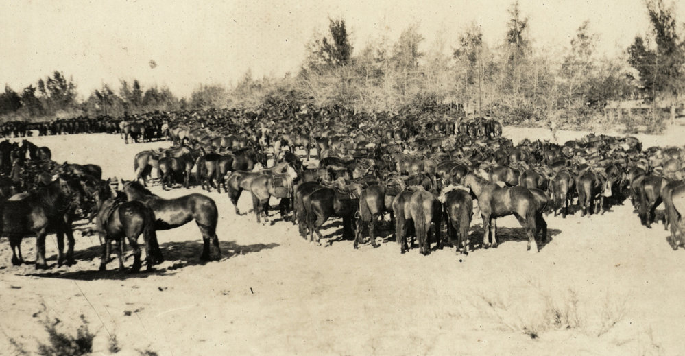 Photo from page 13 of album WWI Photograph Album- Egypt