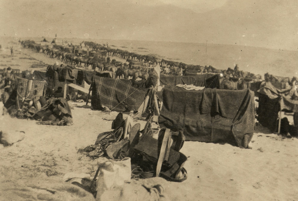 Photo from page 13 of album WWI Photograph Album- Egypt
