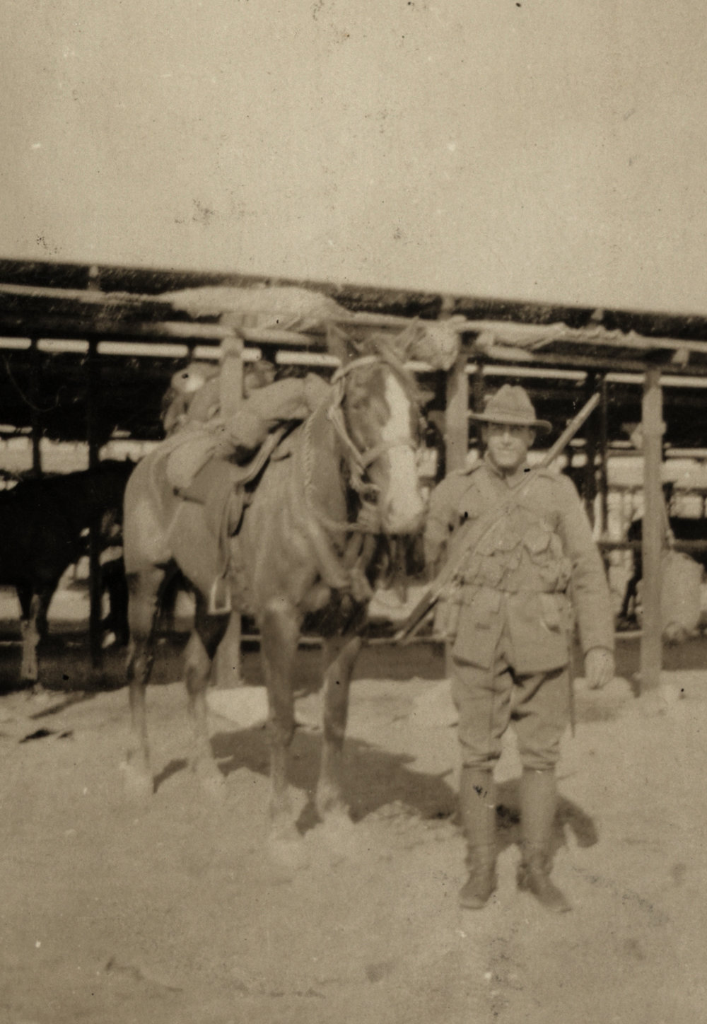 Photo from page 13 of album WWI Photograph Album- Egypt