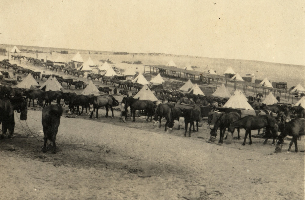 Photo from page 13 of album WWI Photograph Album- Egypt