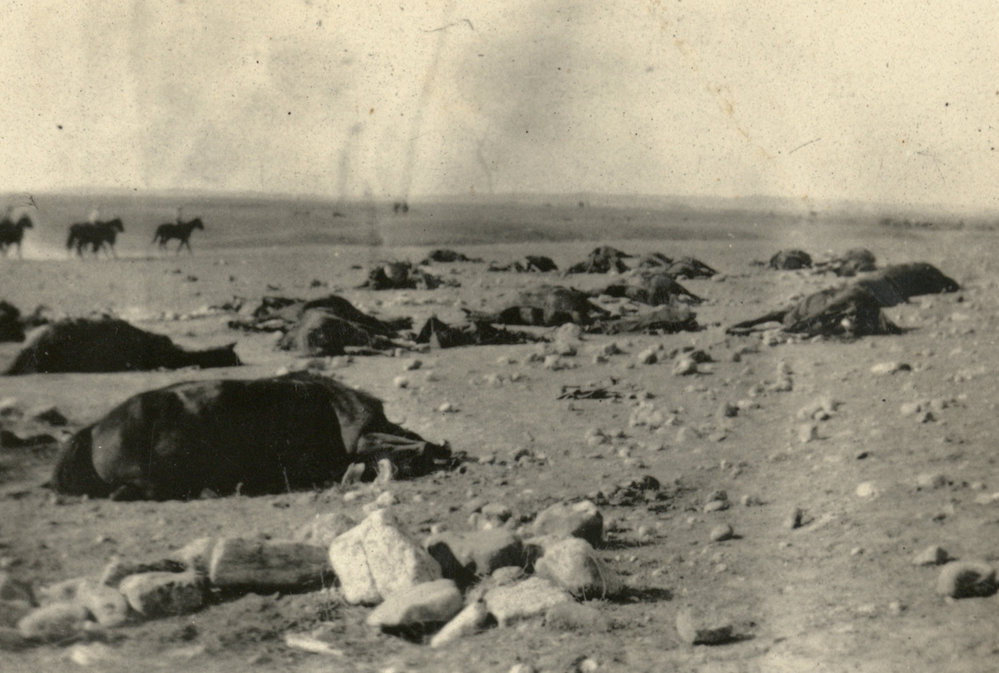 Photo from page 15 of album WWI Photograph Album- Egypt