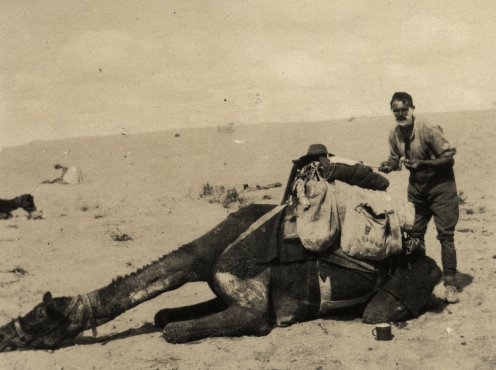 Photo from page 17 of album WWI Photograph Album- Egypt