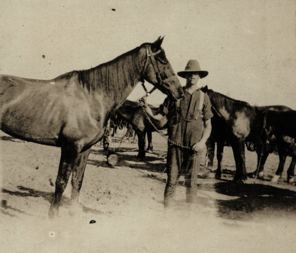 Photo from page 18 of album WWI Photograph Album- Egypt