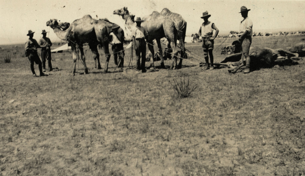 Photo from page 18 of album WWI Photograph Album- Egypt