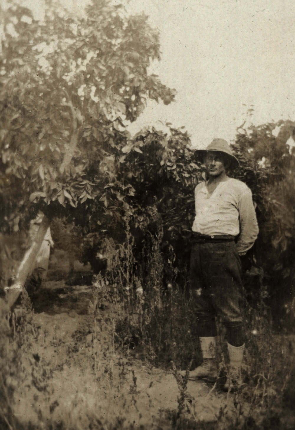 Photo from page 18 of album WWI Photograph Album- Egypt