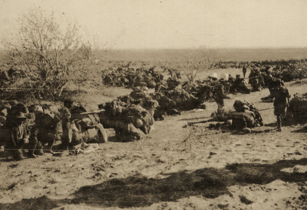 Photo from page 19 of album WWI Photograph Album- Egypt