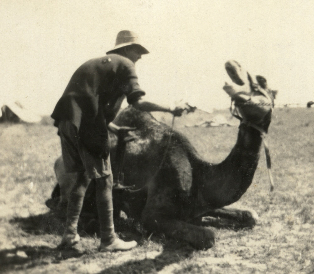 Photo from page 19 of album WWI Photograph Album- Egypt