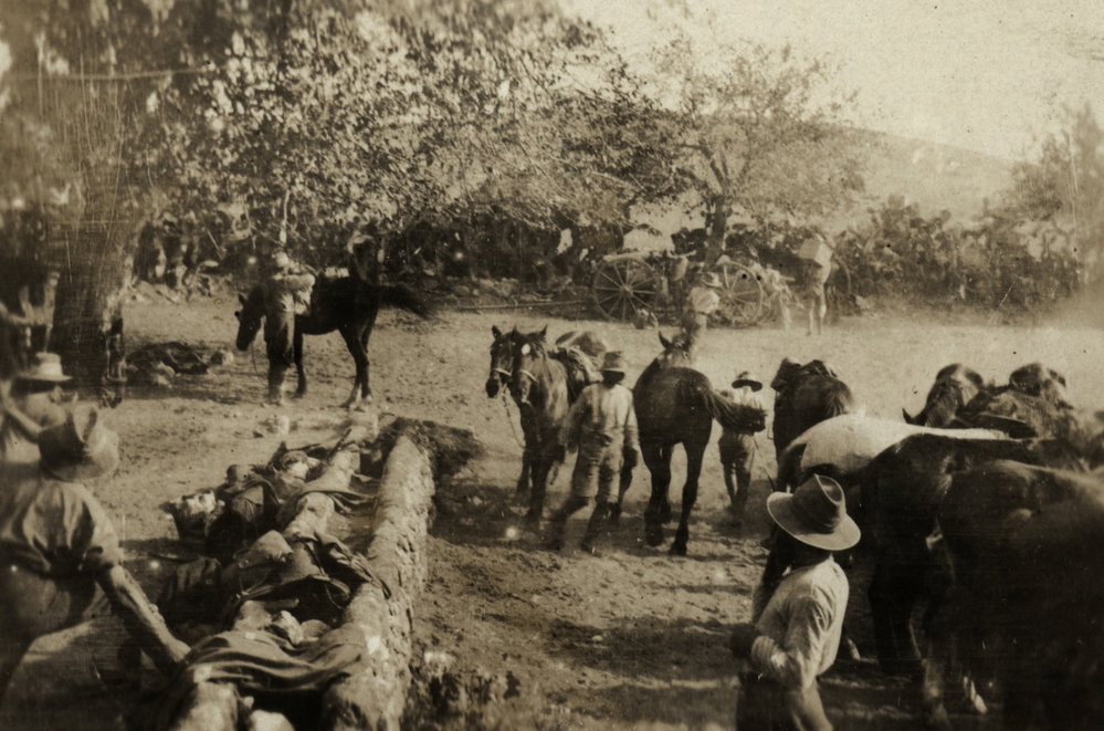 Photo from page 19 of album WWI Photograph Album- Egypt