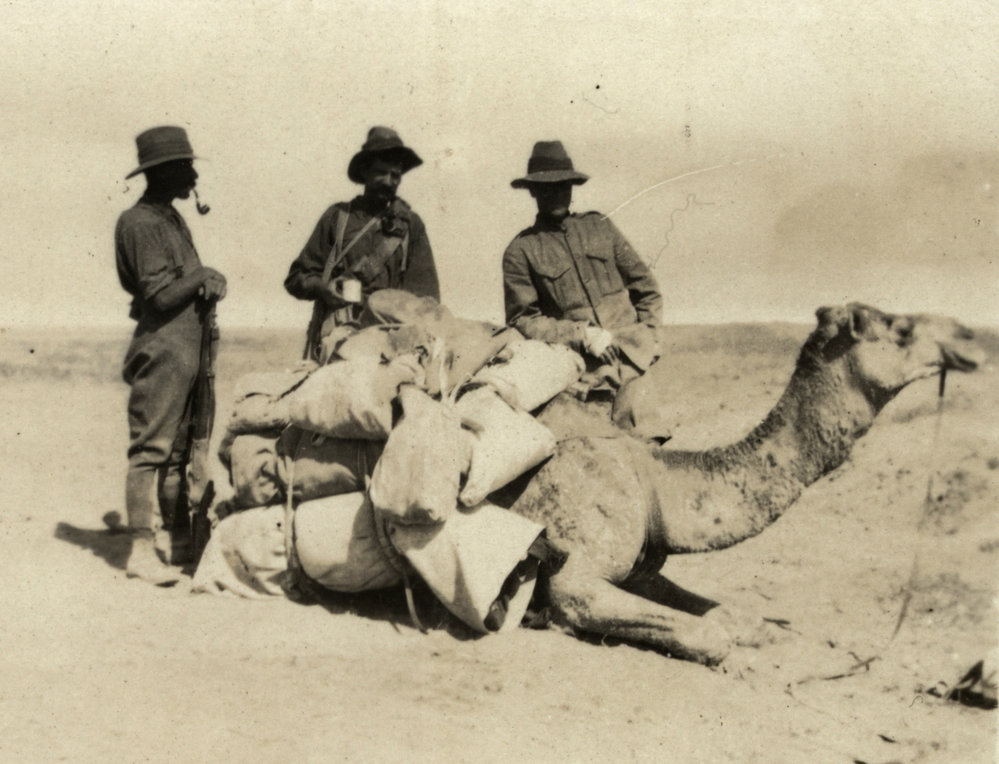 Photo from page 19 of album WWI Photograph Album- Egypt