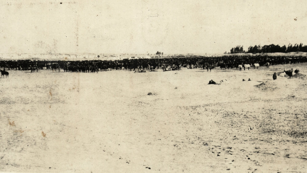 Photo from page 20 of album WWI Photograph Album- Egypt