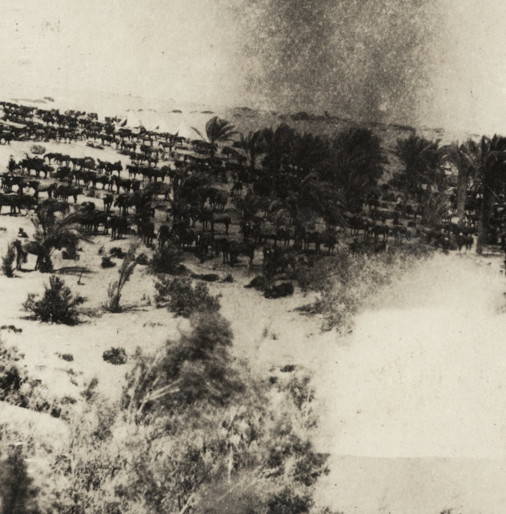 Photo from page 20 of album WWI Photograph Album- Egypt