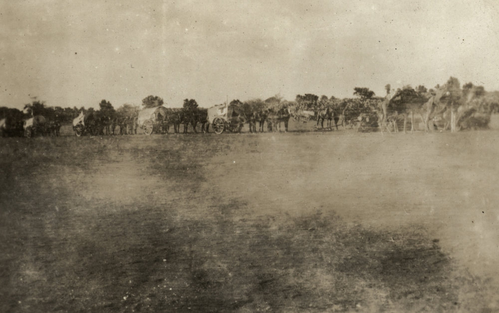 Photo from page 23 of album WWI Photograph Album- Egypt