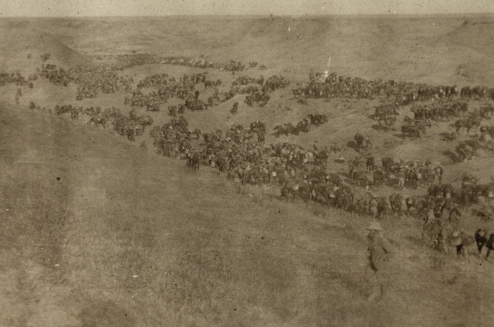 Photo from page 24 of album WWI Photograph Album- Egypt