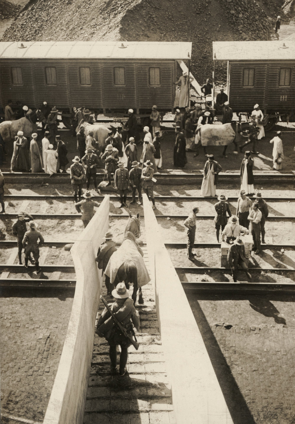 Photo from page 07 of album Post WWI Photograph Album- Egypt