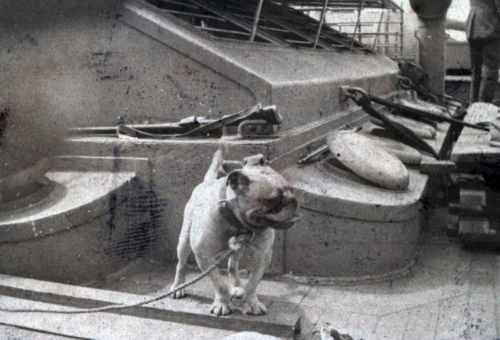 Photo from page 07 of album WWI Photograph Album- New Zealand, Troopship Journey &amp; Egypt