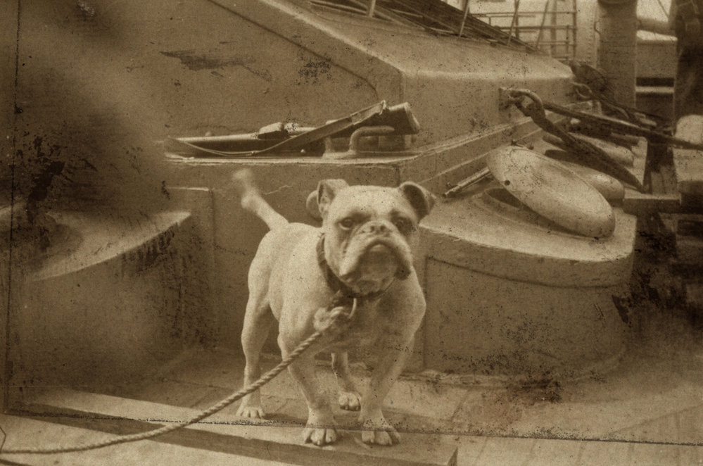 Photo from page 08 of album WWI Photograph Album- New Zealand, Troopship Journey &amp; Egypt