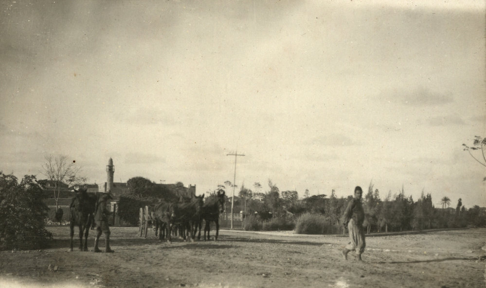 Photo from page 04 of album WWI Photograph Album- Middle East