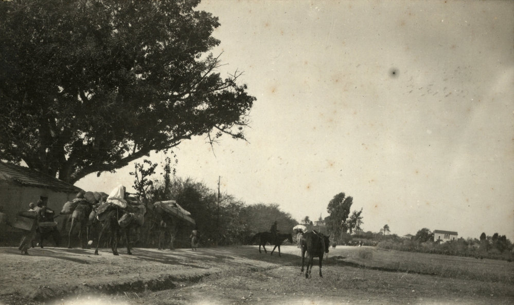 Photo from page 10 of album WWI Photograph Album- Middle East