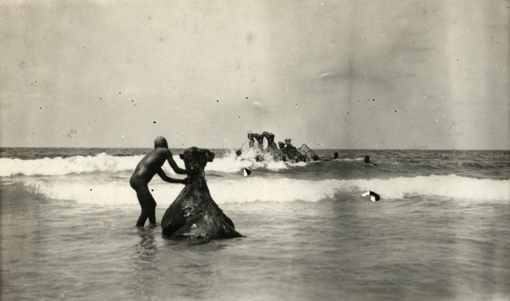 Photo from page 11 of album WWI Photograph Album- Middle East