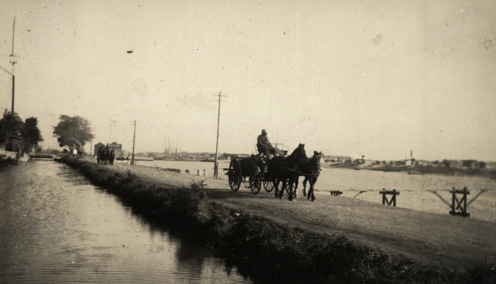 Photo from page 09 of album WWI Photograph Album- Egypt