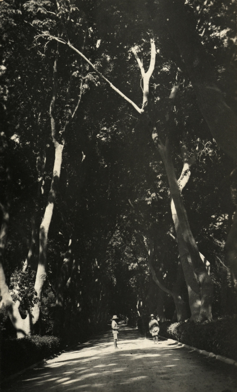 Photo from page 10 of album WWI Photograph Album- Egypt
