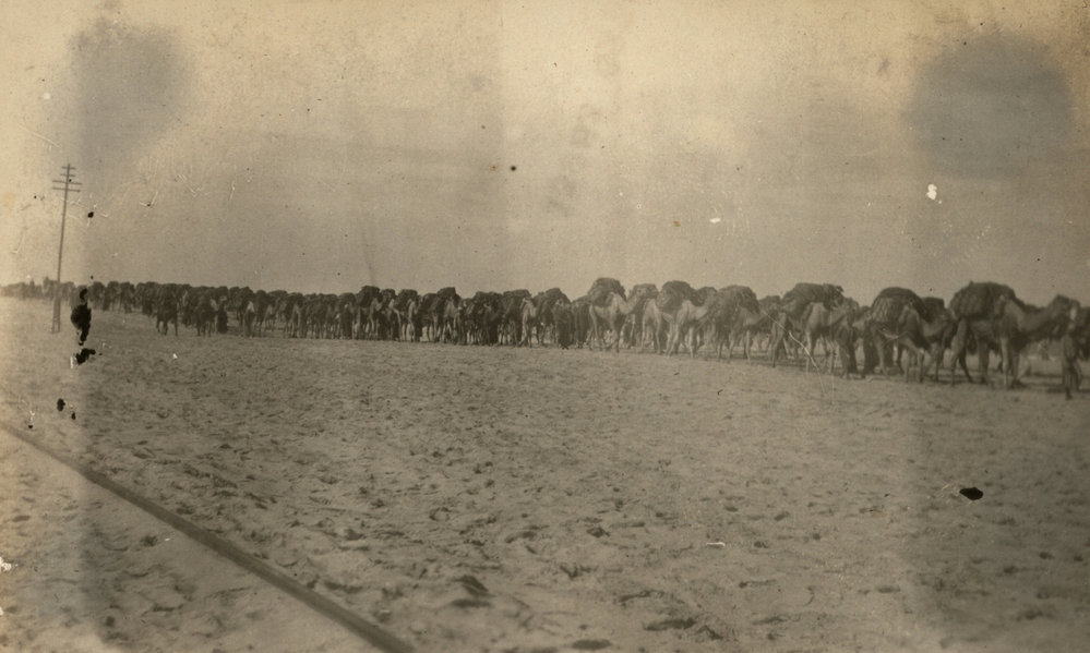 Photo from page 13 of album WWI Photograph Album- Egypt