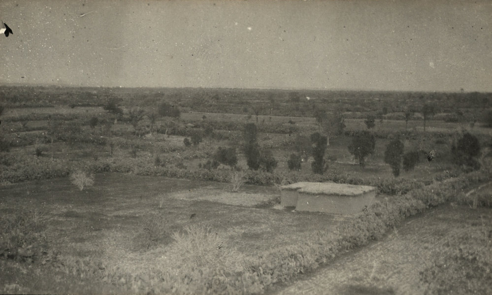 Photo from page 14 of album WWI Photograph Album- Egypt