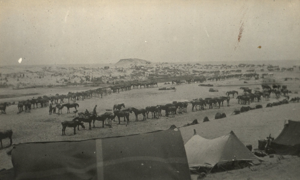 Photo from page 14 of album WWI Photograph Album- Egypt