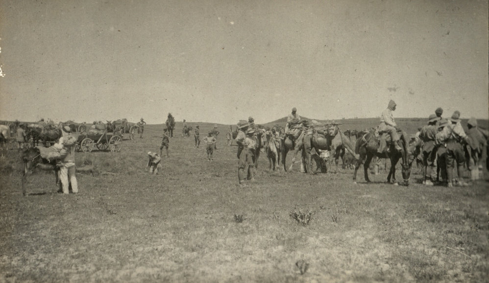 Photo from page 14 of album WWI Photograph Album- Egypt