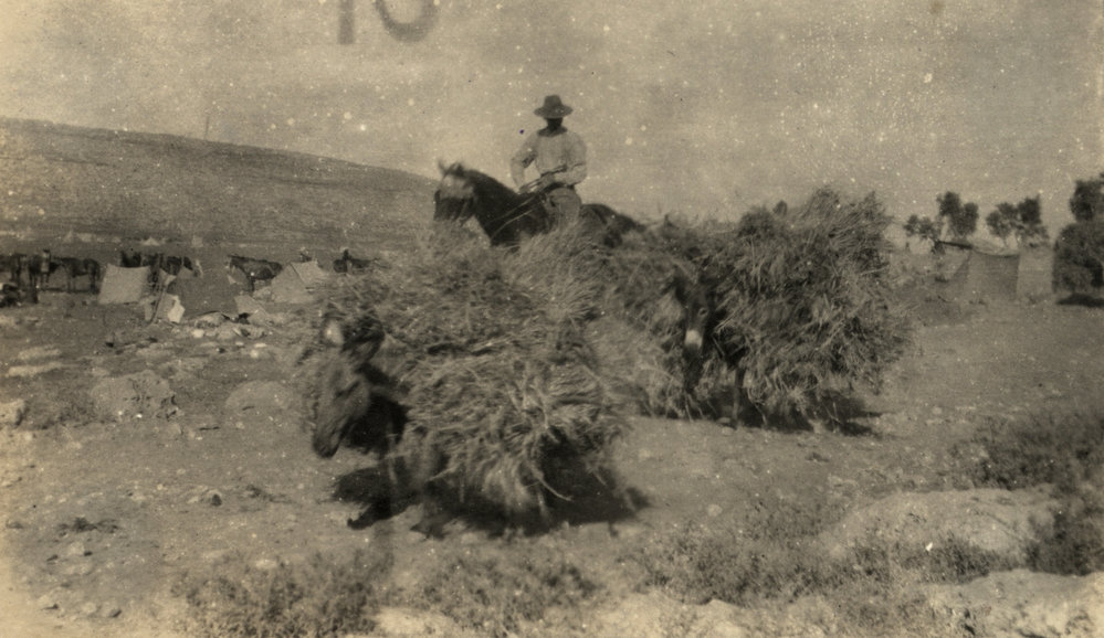Photo from page 16 of album WWI Photograph Album- Egypt