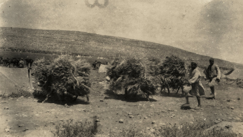 Photo from page 16 of album WWI Photograph Album- Egypt