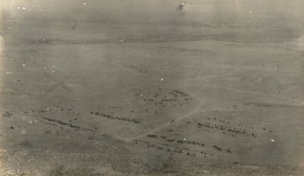 Photo from page 16 of album WWI Photograph Album- Egypt