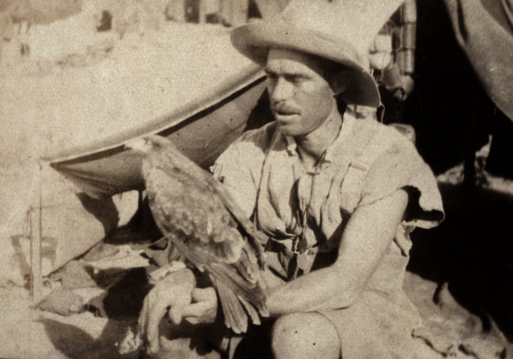 Photo from page 19 of album WWI Photograph Album- Egypt