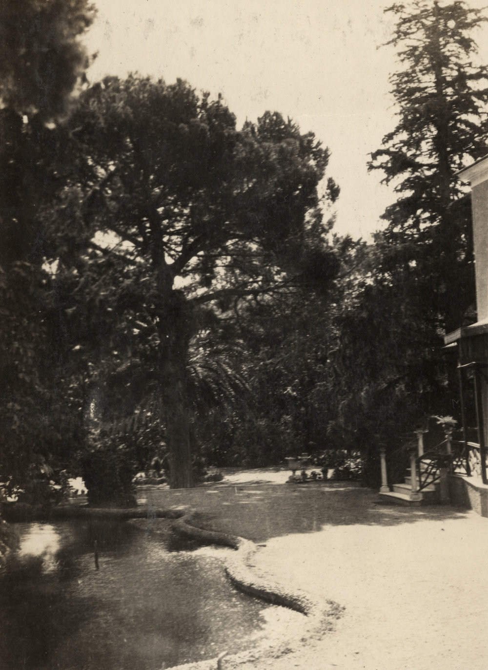 Photo from page 04 of album Post WWI Photograph Album- Egypt and Gallipoli