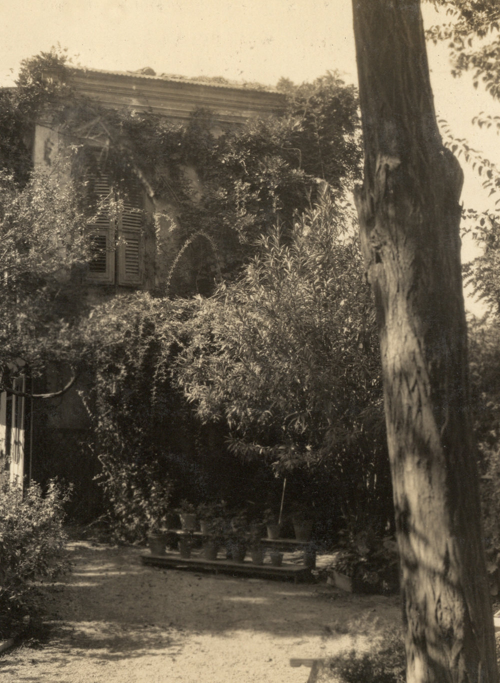 Photo from page 04 of album Post WWI Photograph Album- Egypt and Gallipoli