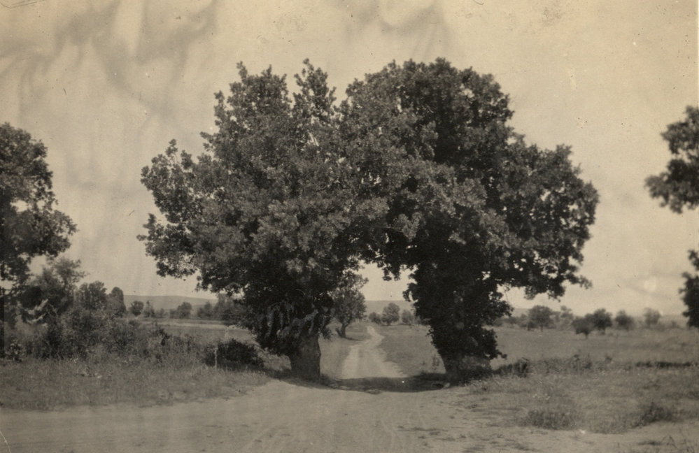 Photo from page 10 of album Post WWI Photograph Album- Egypt and Gallipoli