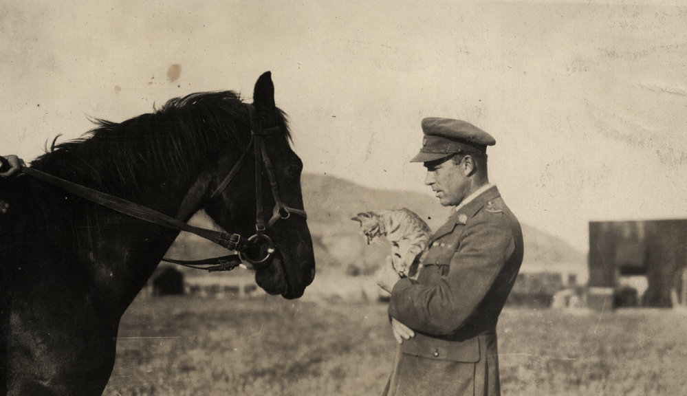 Photo from page 19 of album Post WWI Photograph Album- Egypt and Gallipoli