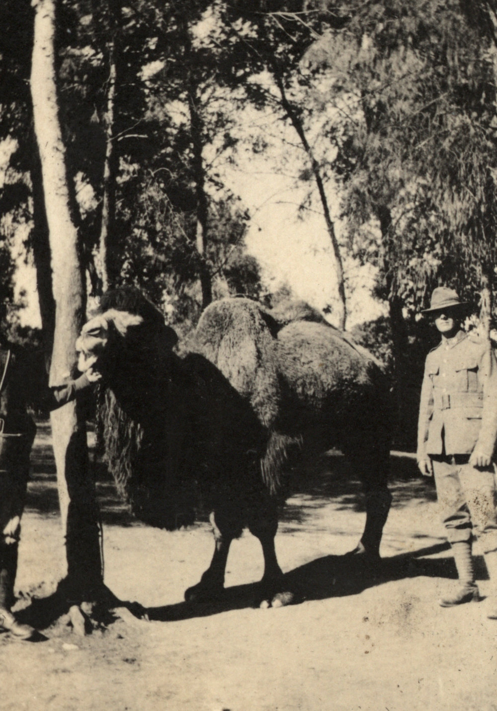 Photo from page 04 of album WWI Photograph Album- Egypt