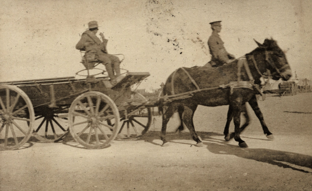 Photo from page 06 of album WWI Photograph Album- Egypt
