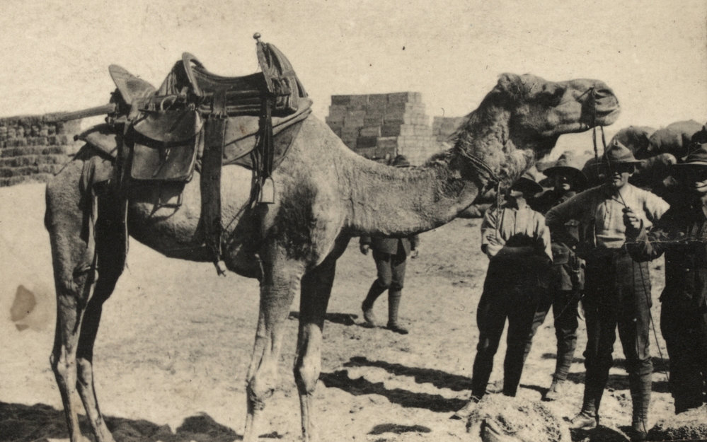 Photo from page 09 of album WWI Photograph Album- Egypt