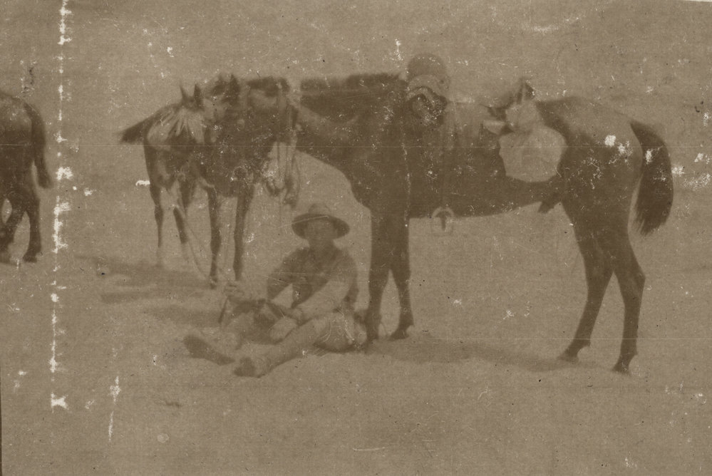 Photo from page 05 of album WWI Photograph Album- Egypt &amp; Palestine