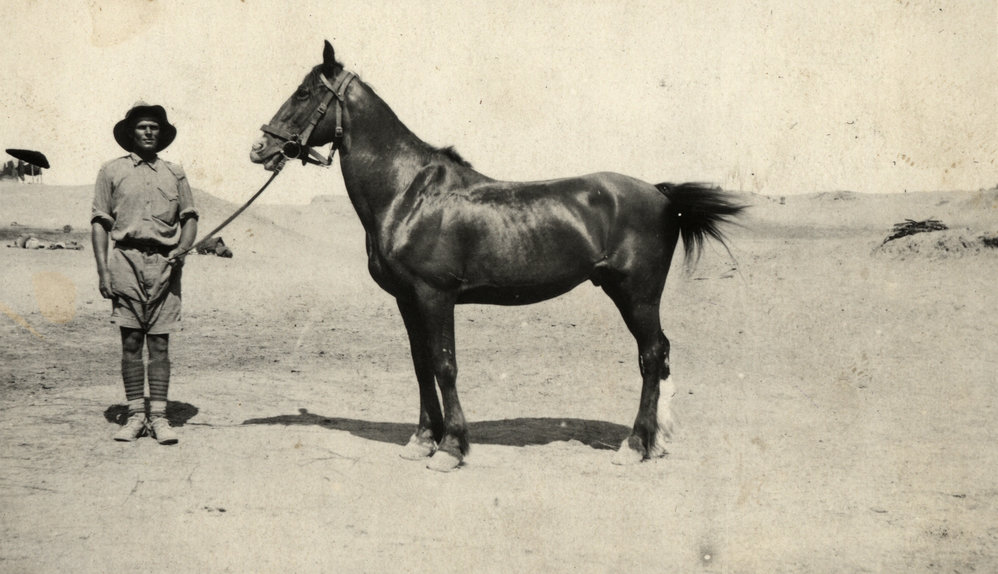 Photo from page 11 of album WWI Photograph Album- Egypt &amp; Palestine