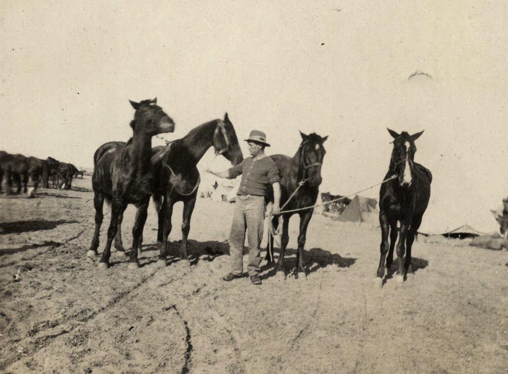 Photo from page 12 of album WWI Photograph Album- Egypt &amp; Palestine