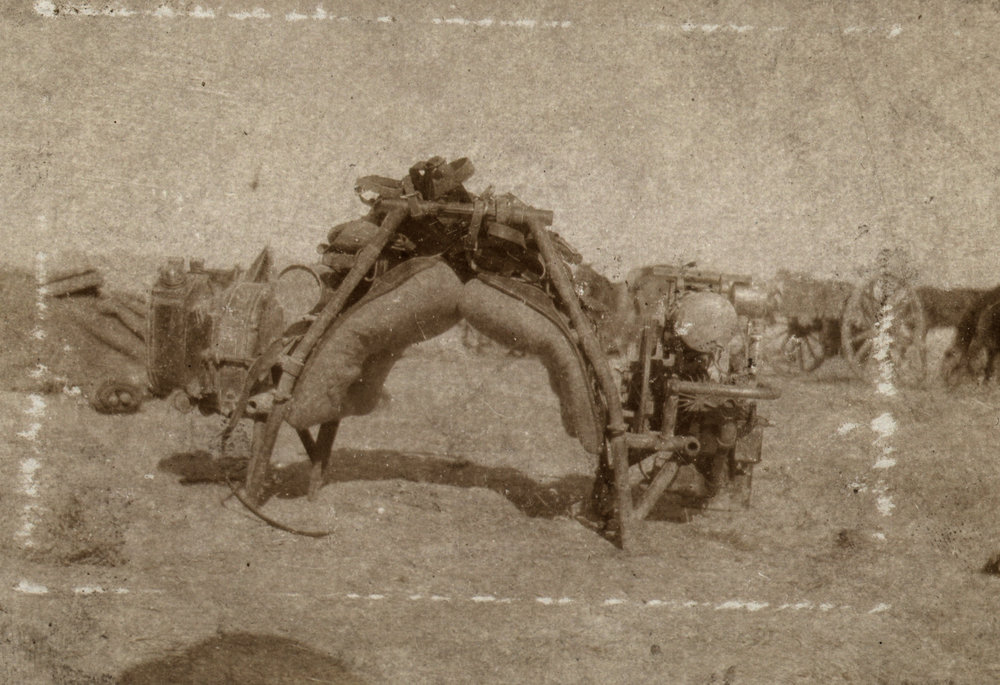 Photo from page 16 of album WWI Photograph Album- Mesopotamia, India &amp; Iraq