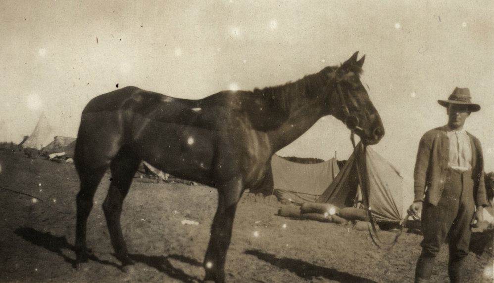 Photo from page 05 of album WWI Photograph Album- Sinai &amp; Palestine and the Western Front