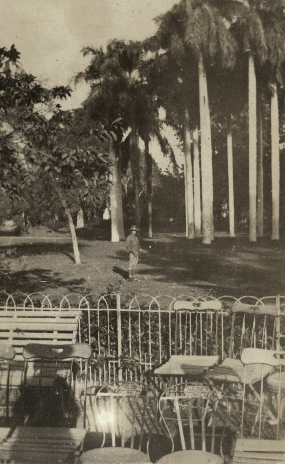 Photo from page 10 of album WWI Photograph Album- Sinai &amp; Palestine and the Western Front